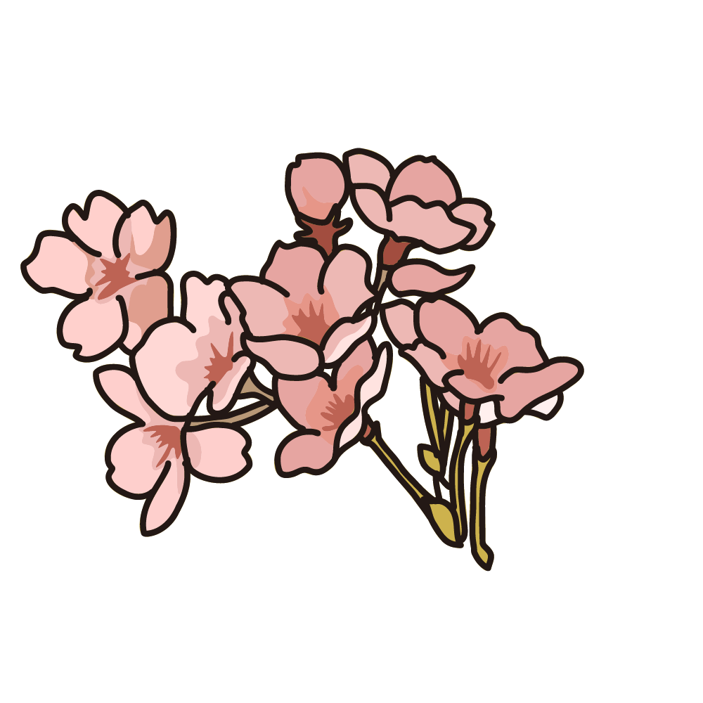 雪原滑る桜の花びらの画像