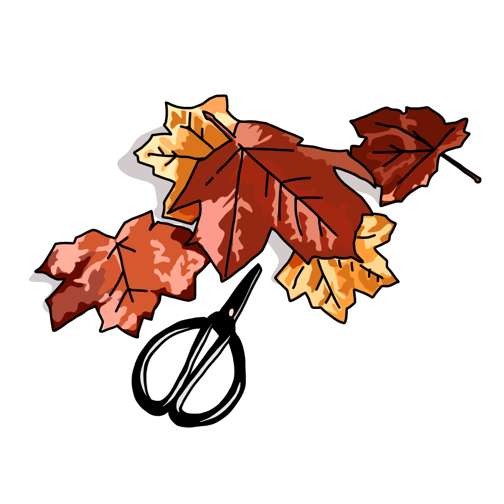 紅葉にぎりの画像